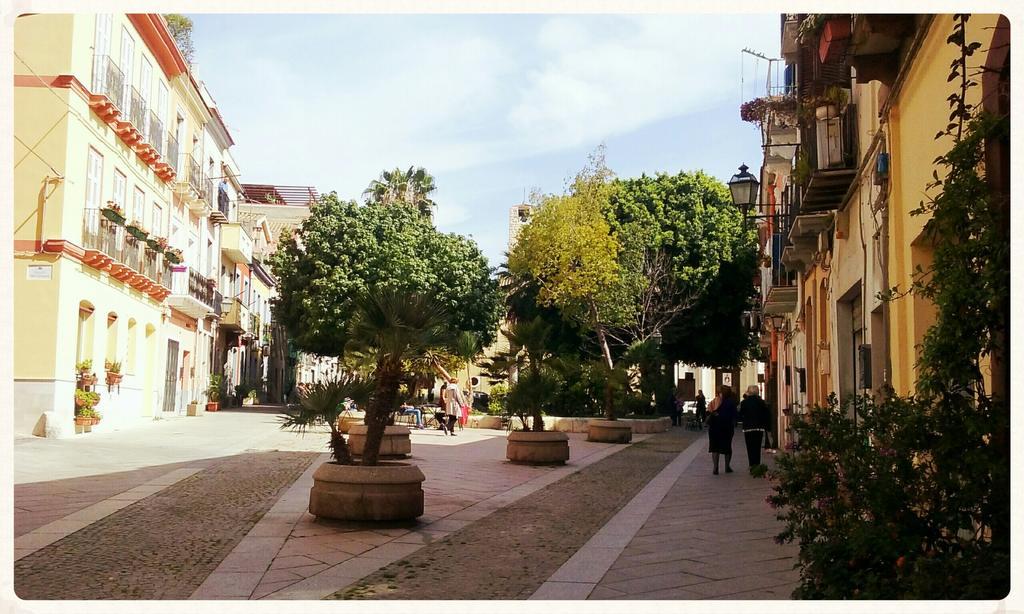 Flamingo B&B Cagliari Bagian luar foto